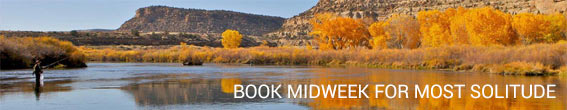 san-juan-river-fly-fishing-trip san-juan-river-fly-fishing-trip
