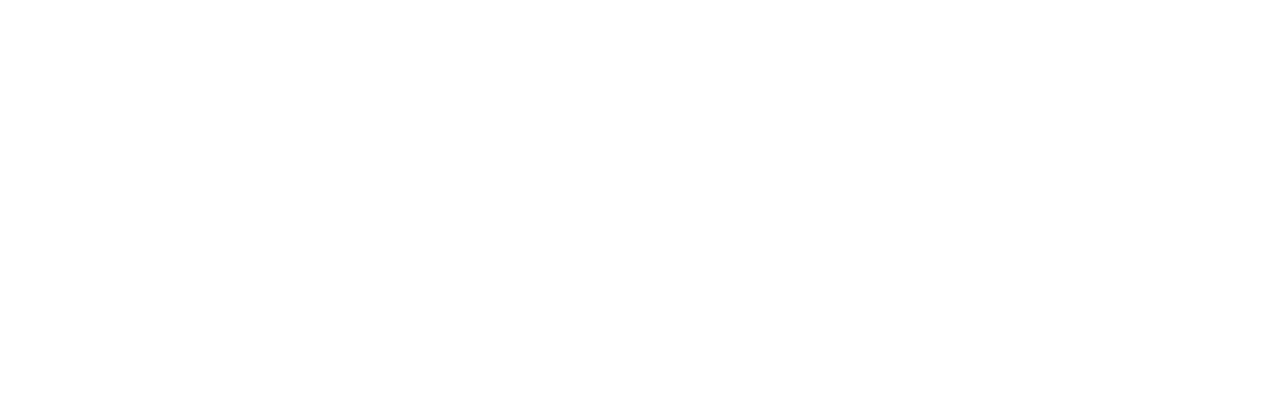 San Juan River Orvis Guides