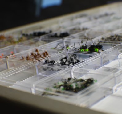 Fisheads fly shop dry flies