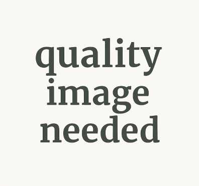 Image to left right placeholder
