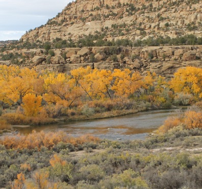 Fall scenery san juan river