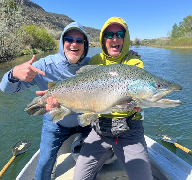 Fisheads guide with large brown trout 396x371