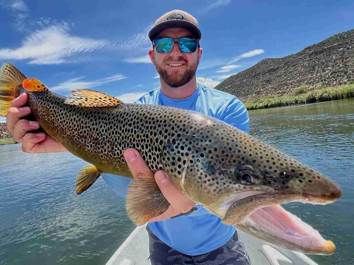Smiling man holding brown trout